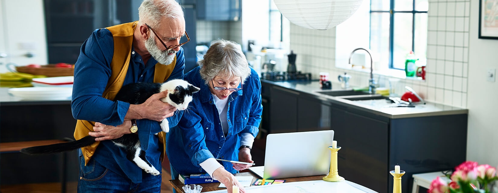 couple-cat-looking-map