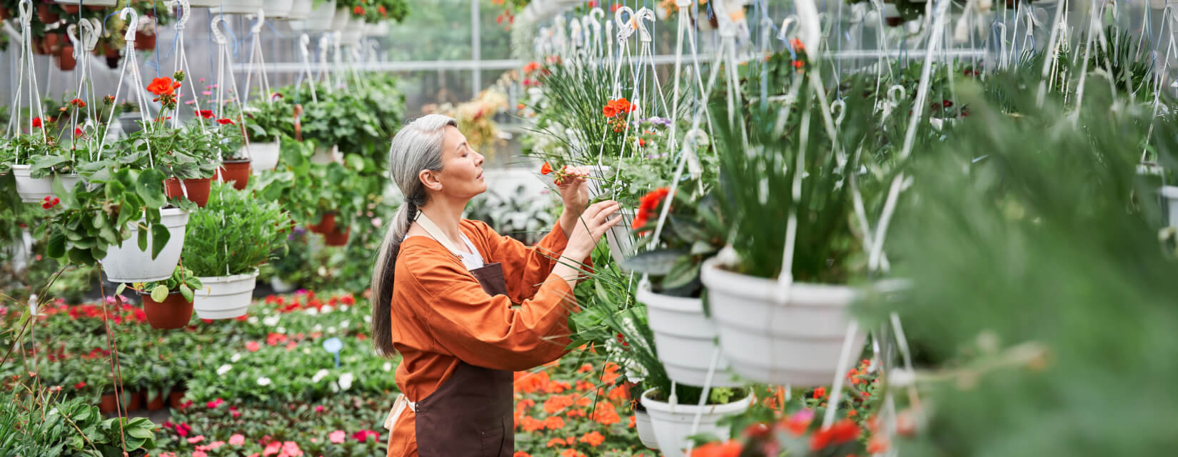 Woman looking at flowers in a greenhouse