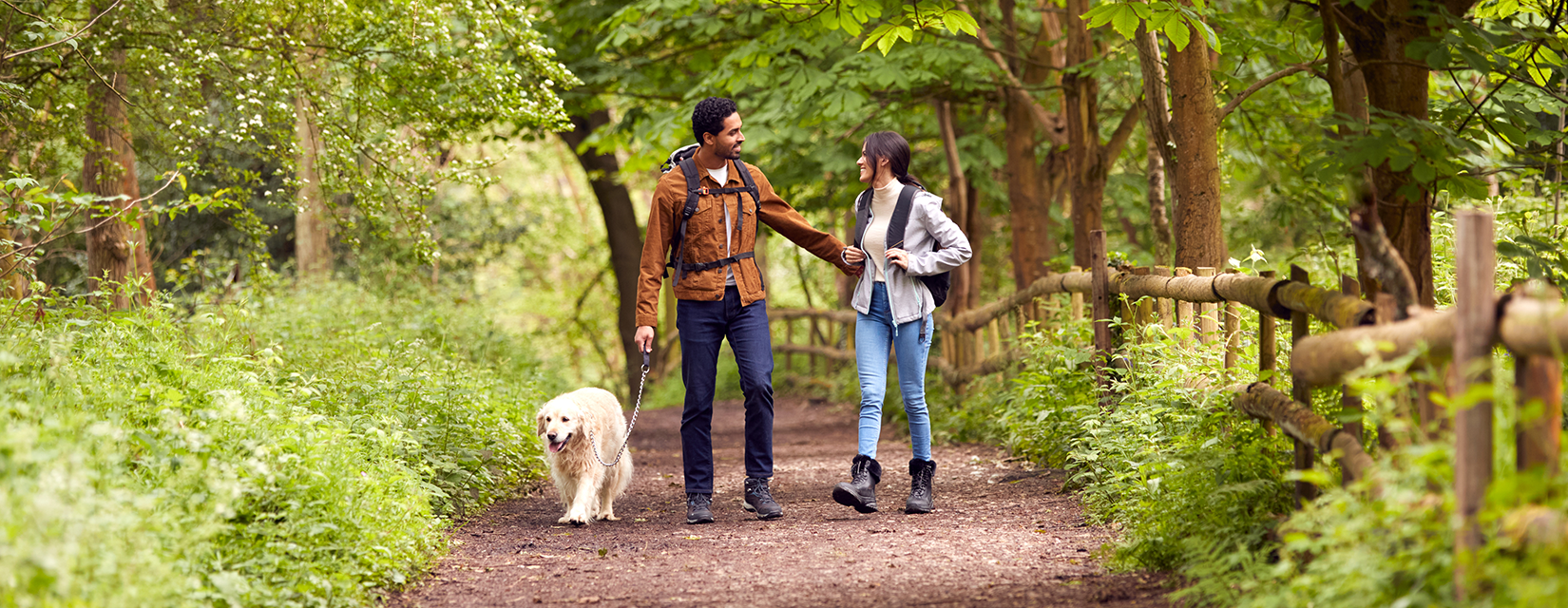 Couple walking their dog in the forest