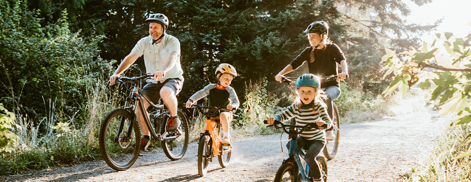 Family riding bicycles through the woods on a sunny day