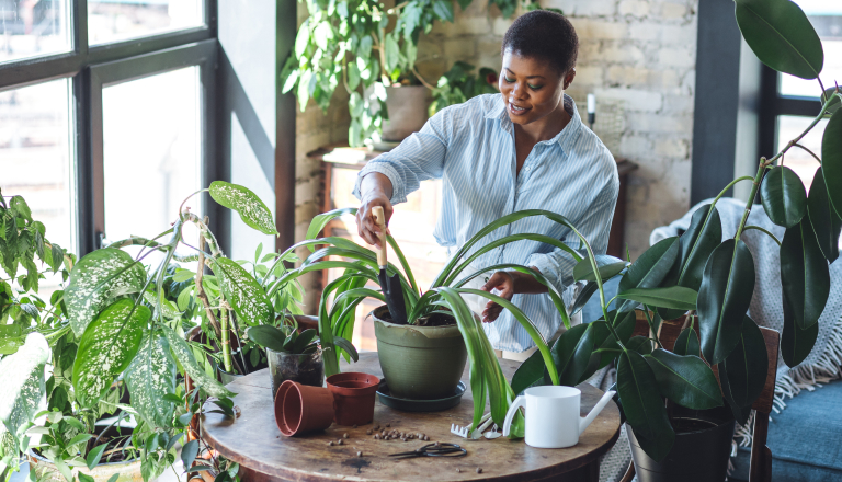 Woman watering indoor plants