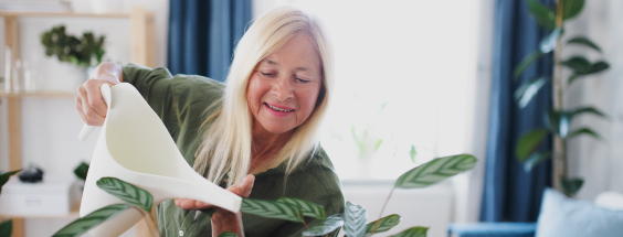 Photo of a lady watering plants