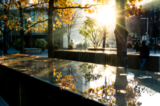 Autumnal sun shine off water and fallen autumn leaves of a water feature in the business district of London Bridge in south east London England UK.